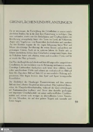 Grünflächen Und Pflanzungen