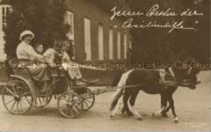 Kronprinzessin Cecilie mit ihren Söhnen Wilhelm, Louis Ferdinand und Hubertus in einer Kutsche