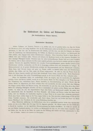 Der Subduralraum des Gehirns und Rückenmarks.