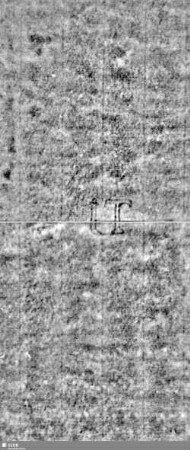 Lilie / Tj = S.9/10+39/40