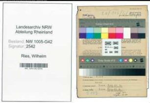 Entnazifizierung Wilhelm Ries , geb. 10.10.1897 (Schneider)