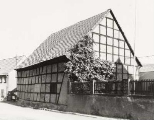 Goldener Löwe