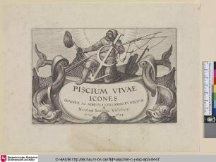 [Titelblatt]: Piscium Vivae Icones