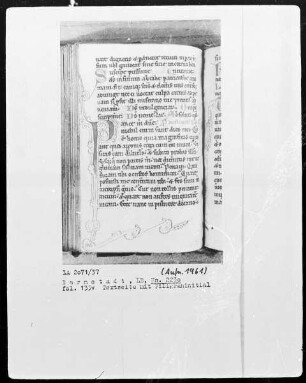 Psalterium und Diurnale — Initiale P, Folio 135 verso