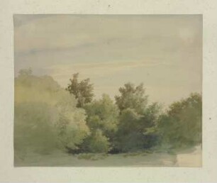 Strauchwerk