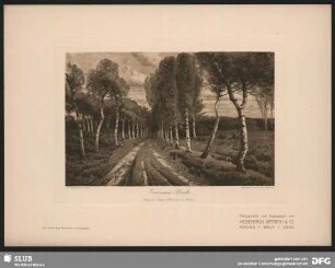 Einsame Heide