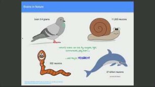 A Gentle Introduction to Neural Networks (with Python)
