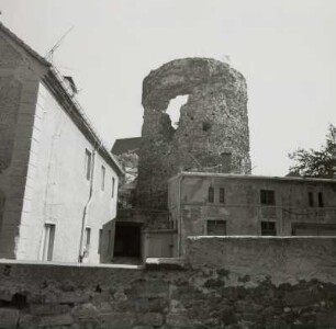 Schloss Mildenstein