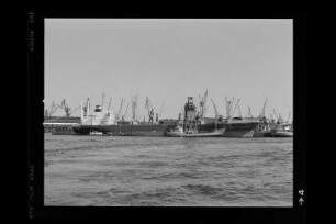 Bertram Rickmers (1979), Frachtschiff, Rickmers-Linie KG, Hamburg, Bau-Nr. 1013
