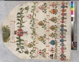Proband: Bussche, Christoph von dem; Vater: Bussche, Clamor Eberhard von dem; Mutter: Görne (Gören), Anna Elisabeth von: Minden, Domkapitel