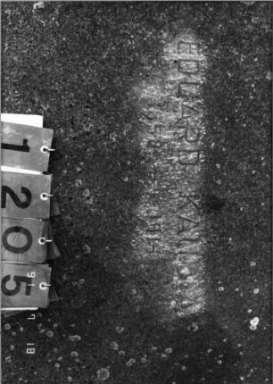 Grabstein 1205 [Hahn S. 120 Grab-Nr. 1708]: Grabstein 1205 (Detailaufnahme) [Hahn S. 120 Grab-Nr. 1708]