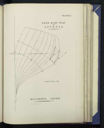 Plate VIII.A. FORE BODY PLAN OF LIVONIA. DIVIDING LINES.