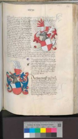 Anthis Ring von Eimsheim