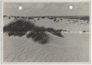 Sylt, Wanderdünen