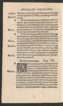 De tertio praecepto. Cap. VII.