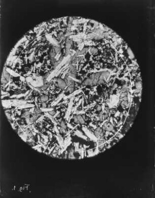 Makroskopische Aufnahme (Gauß-Expedition 1901-1903)