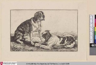 [Zwei Hunde; Two resting dogs]
