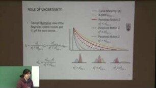 Uncertainty in Motion Perception