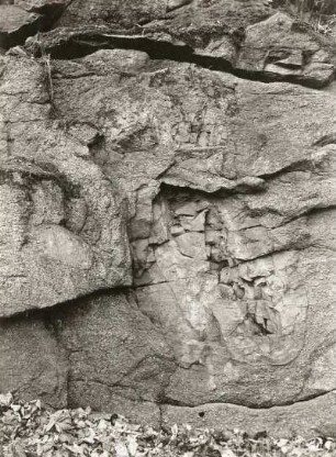 Lauitzer Bergland. Georgewitzer Skala, tiefeingeschnittenes Tal des Löbauer Wassers nördlich von Löbau. Uferfelsen. Grauwackeneinschlüsse im Granit