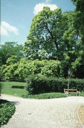 Fotografie: Gartenbau