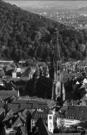 Freiburg: Münster, von Westen