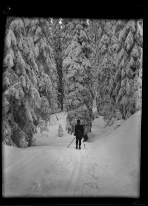 Kriegswinter im Schwarzwald