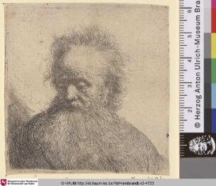 [Brustbild eines Greises mit wallendem Bart; Old Man with a Flowing Beard: Bust; Vieillard à barbe pointue]