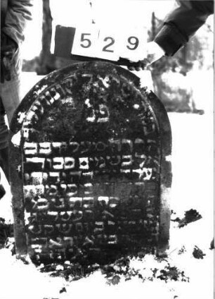 Grabstein 529