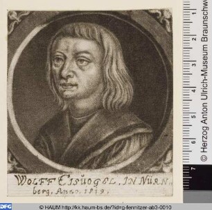 Wolff Eisvogel