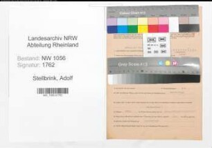 Entnazifizierung Adolf Stellbrink , geb. 20.12.1899 (Angestellter)