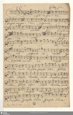 Canto Solo.