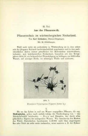 II. Teil. Aus der Pflanzenwelt