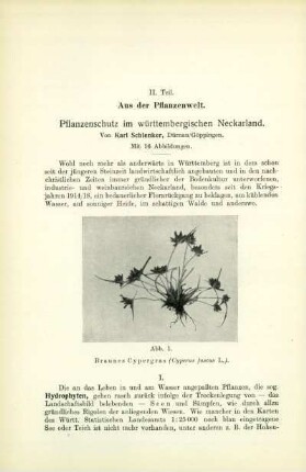 II. Teil. Aus der Pflanzenwelt