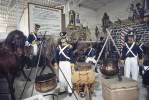 Sinsheim. Militärhistorische Abteilung. Nachgestellte Szene aus den Befreiungskriegen, Völkerschlacht bei Leipzig