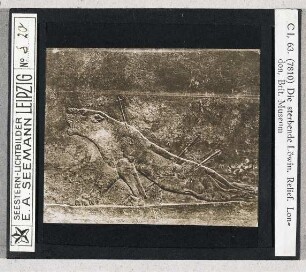 Die sterbende Löwin. Relief, London, British Museum (Seestern-Nr. 7810)