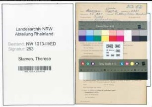 Entnazifizierung Therese Stamen , geb. 07.03.1888 (Lehrerin)