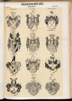 Taf. 225. Hompesch. - Hontheim. - Hopfgarten. - Hopfner. - Horcker. - Hordziewicz. - Horguelin. - Hom (Schlesien). - Horn I. - Horn II. - Horn III. - Horn