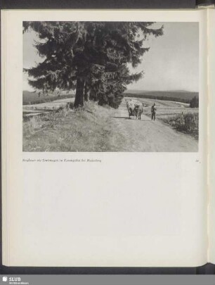 Bergbauer mit Erntewagen im Kammergebiet bei Masserberg
