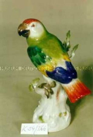 Papagei