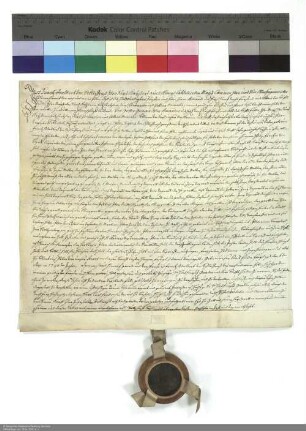 Revers Franz Adalberts von Schleifras bezüglich der Belehnung mit einem Burggut und der Mühle in Salmünster und weiteren im Einzelnen aufgeführten Lehen durch Amand [von Buseck], Abt von Fulda