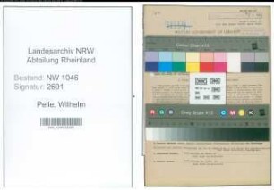 Entnazifizierung Wilhelm Pelle , geb. 29.01.1908 (Metzgermeister)