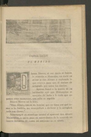 Capítulo LXXIV - El herido