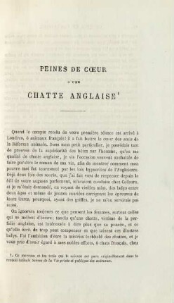 Peines de coeur d'une chatte anglaise