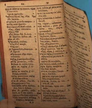 Maftēaḥ haz-zēḵer seu Index memorialis quo voces Hebraicae et Chaldaicae V.T. omnes cum significatibus Latinis continentur, ad faciliorem vocum evolutionem et repetitionem