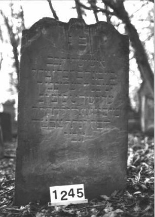 Grabstein 1245 (Index: 99900048) Material: Sandstein Zustand: angewittert Maße HxBxT: 115x66x7 cm Beschreibung: Stele mit geschweiftem Schulterbogenabschluss, im Bogenfeld Ranken Symbolik: Ranken: Grabstein 1245