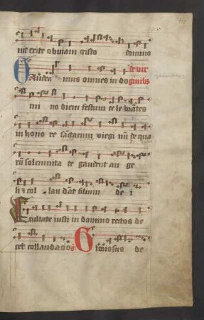 Commune plurimorum virginum