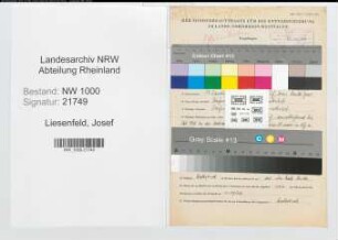 Entnazifizierung Josef Liesenfeld, geb. 17.01.1913 (Verw.Angest.)
