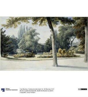 Parklandschaft