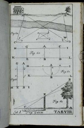Fig. Geom. Tab. VIII.