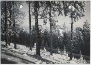 Winterlandschaft, Taunus, Feldberg